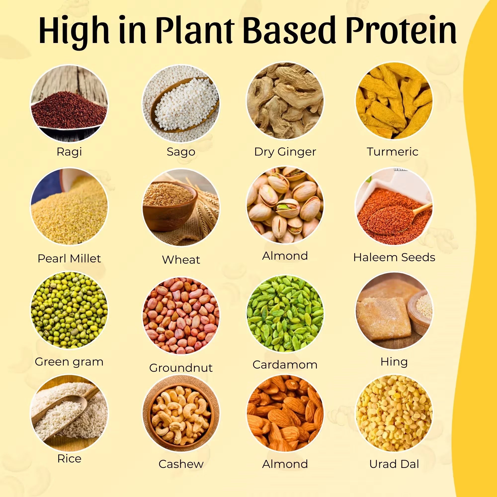 Nutri Sprouts Mix | Sprouted Multigrain Blend