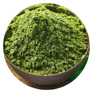 Pudina Powder